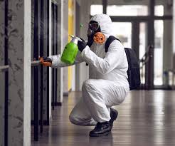 Best Black Mold Removal  in Cosmopolis, WA